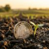 Gros plan sur une pièce de monnaie euro à moitié enfoncée dans la terre cultivée, subvention bâtiment agricole 2026